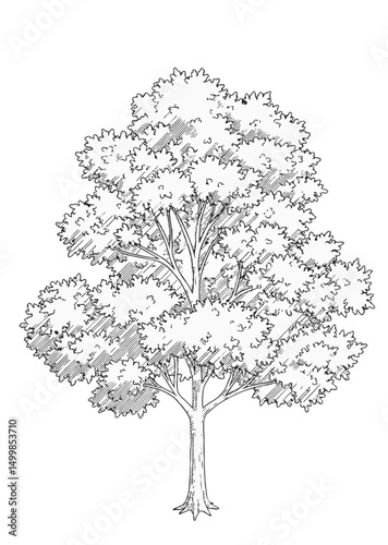 Trees_Axonometric view 