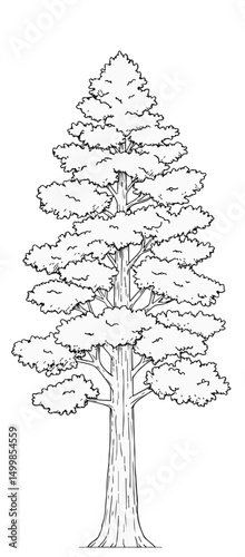 Trees_Axonometric view 