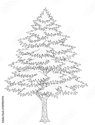 Trees_Axonometric view 