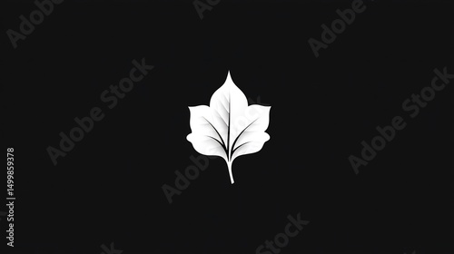 Elegant White Leaf Illustration on Black Background, Minimalist Nature Design
