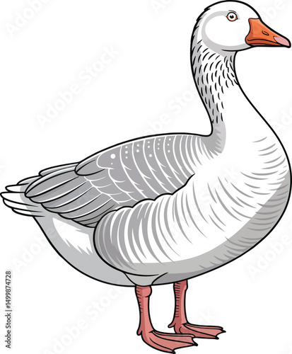 Cute Duck Vector Illustration