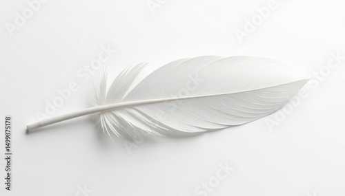 Close-up of pristine white feathers against stark white backdrop, minimal, elegant