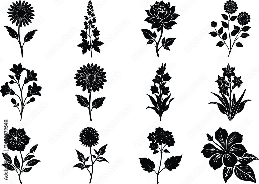 Fototapeta premium Plants silhouettes, Decorative floral design elements, flowers silhouettes on white background,