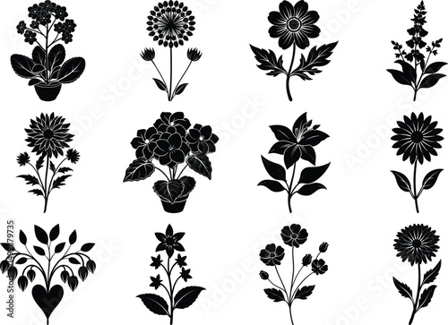 Set of black cosmos flowers, Set of cosmos flower silhouettes collection, Beautiful cosmos flower silhouettes,Plant flower silhouettes vactor file.