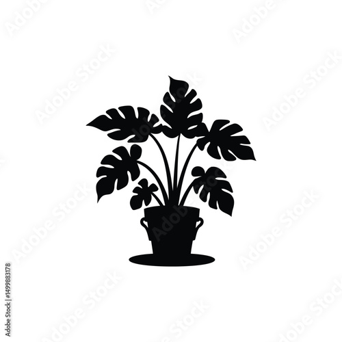 Potted palm and houseplant with green leaves isolated on white background