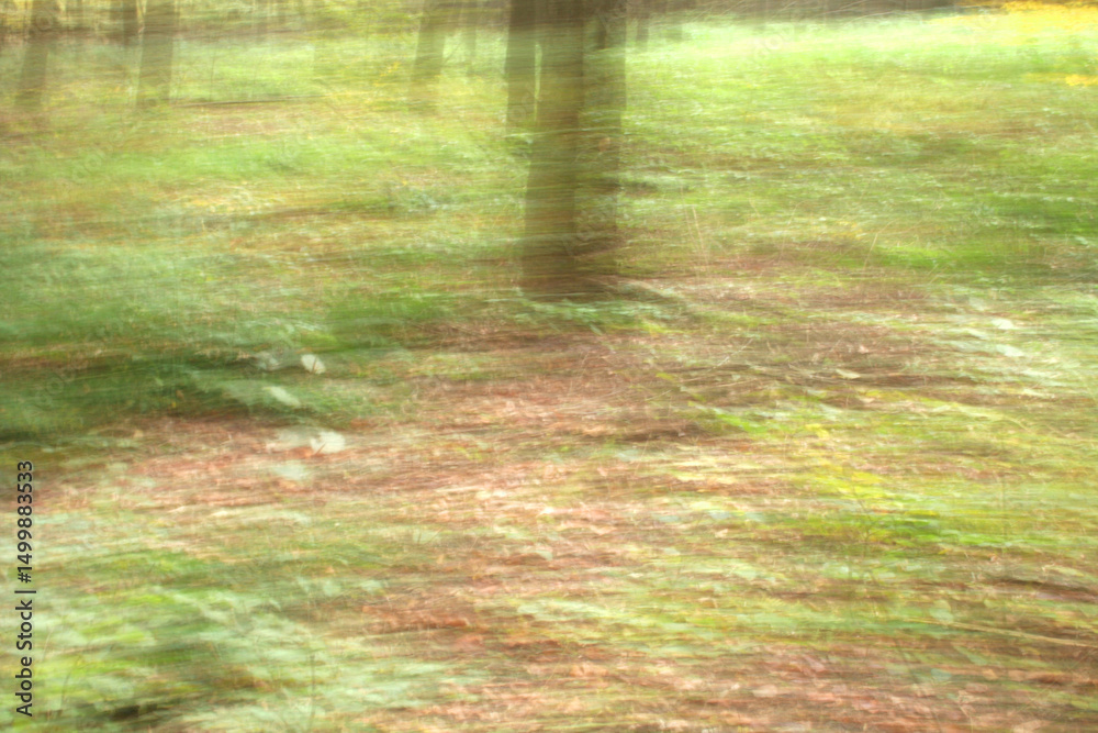 image to crop