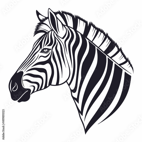 zebra vector illustration