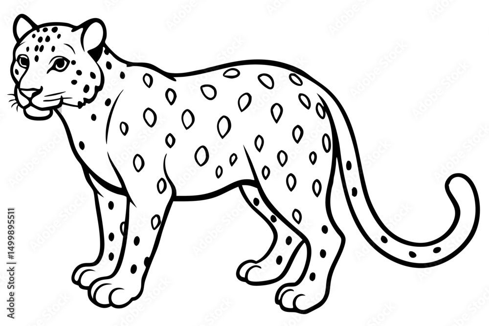 Fototapeta premium White Snow Leopard Line Art