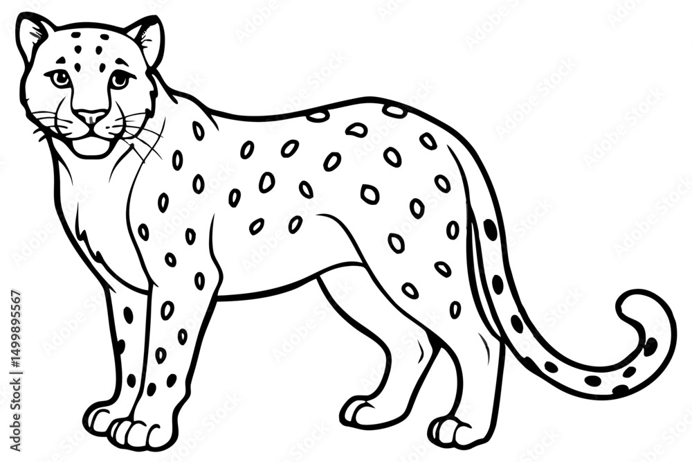 Fototapeta premium White Snow Leopard Line Art