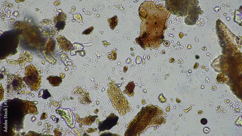 microorganisms and soil biology, with nematodes and fungi under the microscope.	
