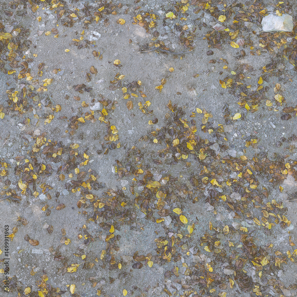 Seamless Natural Dirt Ground Texture with Dry Autumn Leaves Seamless Natural Dirt Ground Texture with Dry Autumn Leaves