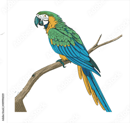 parrot Vector 