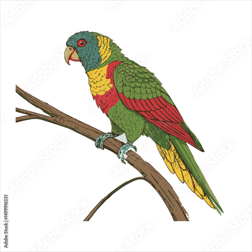 parrot Vector 