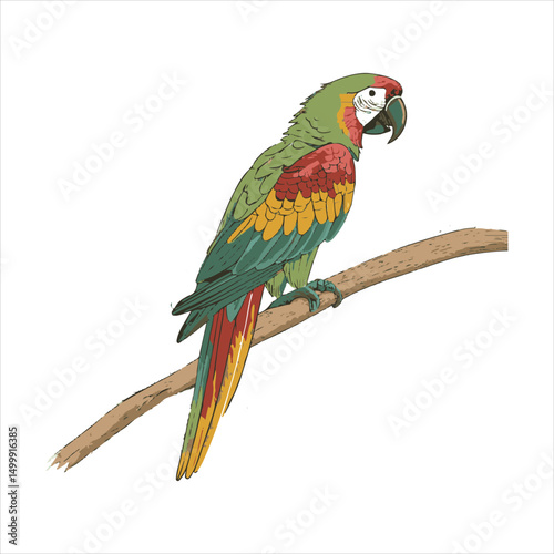 parrot Vector 