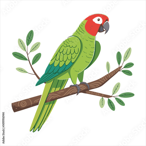 parrot Vector 