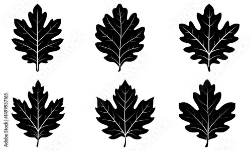 Oak Leaf Silhouette vector