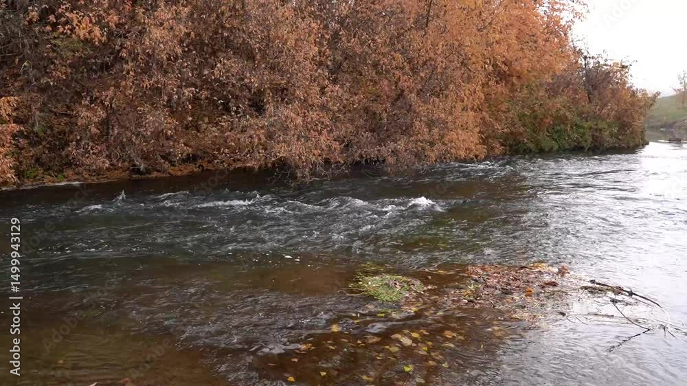 A serene river flows through a stunning autumn landscape, with vivid shades of orange and red in the foliage, creating an idyllic scene for nature enthusiasts seeking relaxation and peace A serene river flows through a stunning autumn landscape, with vivid shades of orange and red in the foliage, creating an idyllic scene for nature enthusiasts seeking relaxation and peace
