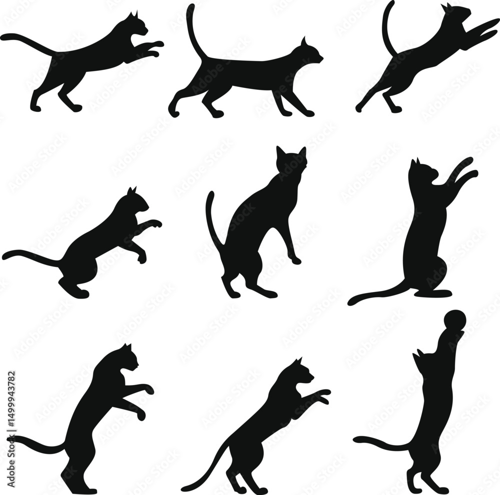 Fototapeta premium Joyful Playful Cat Silhouette