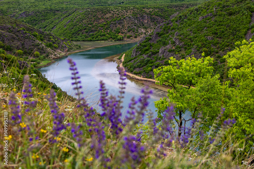 Landscape view of the Zrmanja river canyon near the town of Obravac in the northern Dalmatia, Zadar county, Croatia, Europe