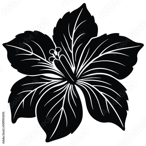 Hibiscus Flower with Fine Details Silhouette