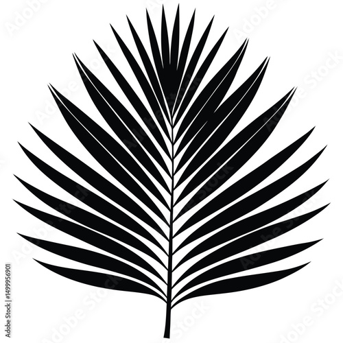 Palm Leaf with Long Fronds Silhouette Design