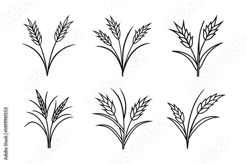 A set of rice plants line art vector illustration