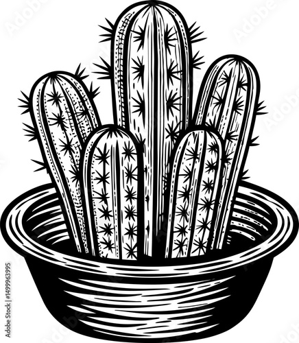 black and white cactus in a pot, detailed line art nature illustration, desert plant with spines