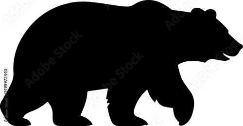 bear silhouette and line art Vector illustration