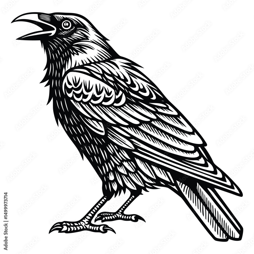 Obraz premium Detailed Black and White Illustration of a Raven