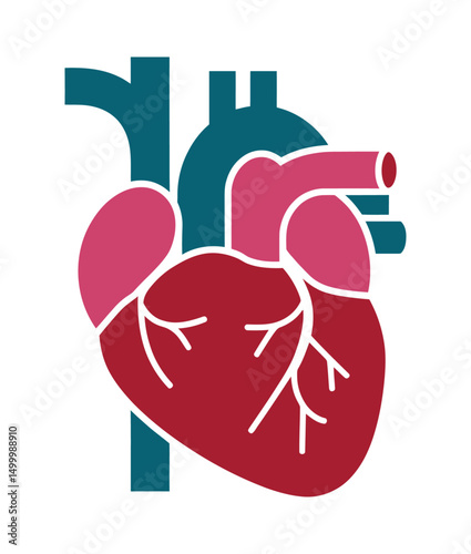 Stylized illustration of a human heart with vessels