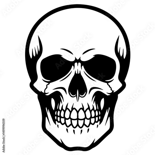 Human skull graphic illustration. Detailed human skull image shows bone structure and teeth. This skull graphic is perfect for Halloween themed designs and spooky illustrations.