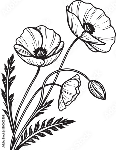 poppy flower silhouette,linocut style,high resolution, transparent background
