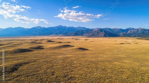 Scenic aerial view of vast golden plains and majestic mountain range under a blue sky