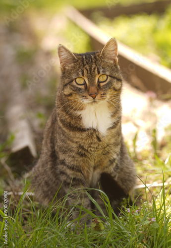 Wallpaper Mural Generated image Torontodigital.ca