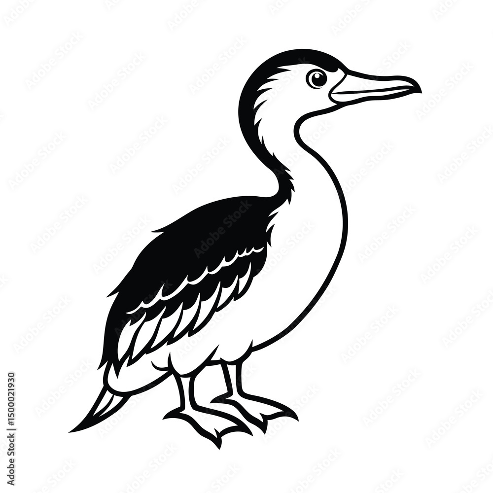 Fototapeta premium double crested cormorant 