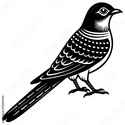 Cuckoo Bird Perched Vector Style On White