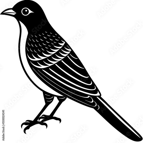 Cuckoo Bird Perched Vector Style On White