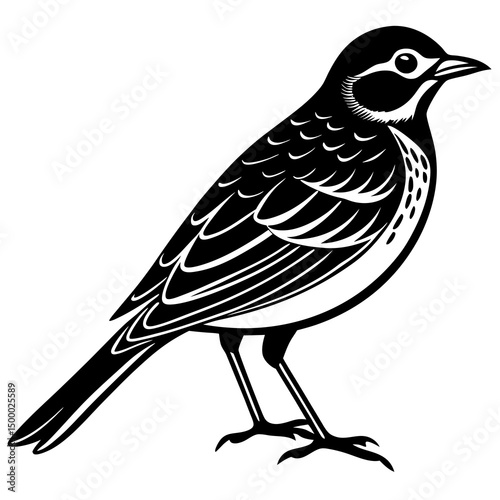 Lark Bird Perched On White