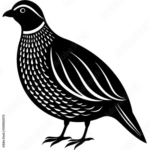 Quail Bird Perched Vector Style On White
