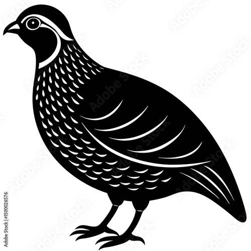 Quail Bird Perched Vector Style On White