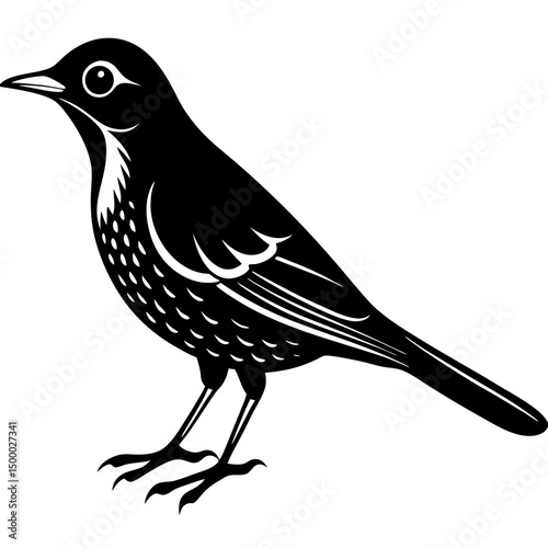 Thrush Bird Perched On White