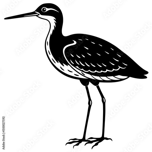 Wading Bird Perched On White