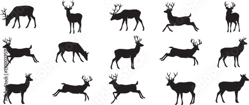 Deer silhouette vector art collection for hunting and nature designs black and white illustration