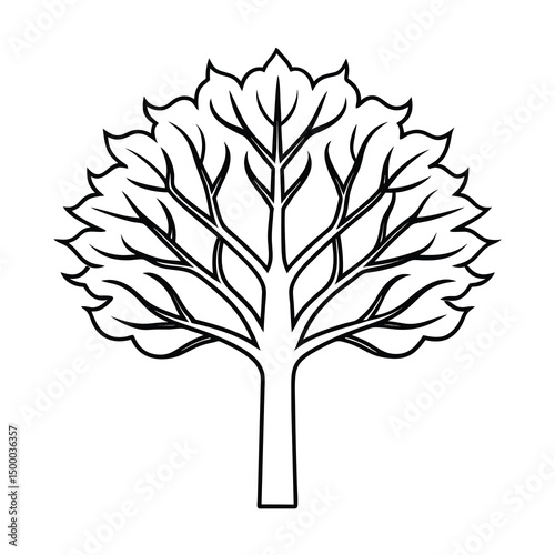 minimalist deciduous tree