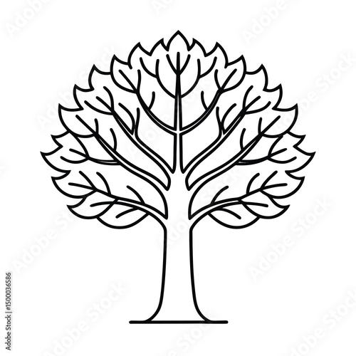 minimalist deciduous tree