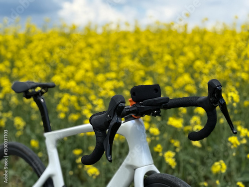 Cycling Adventure in the Countryside with a Road Bike