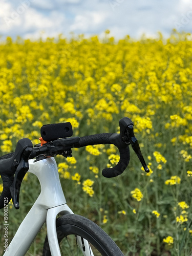 Cycling Adventure in the Countryside with a Road Bike