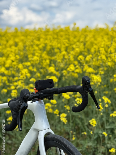 Cycling Adventure in the Countryside with a Road Bike