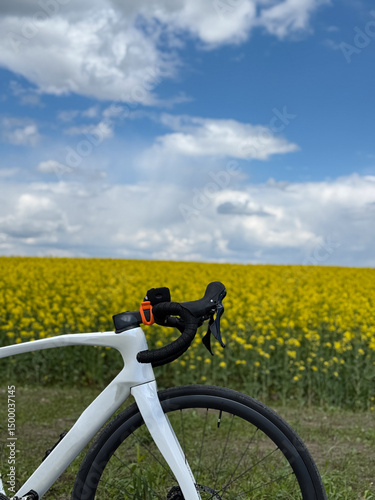 Cycling Adventure in the Countryside with a Road Bike