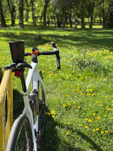 Cycling Adventure in the Countryside with a Road Bike